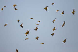 AE6F3850.jpg