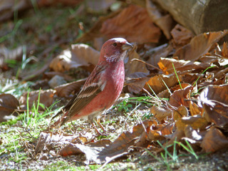 DSCN0162.jpg