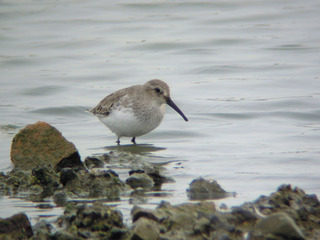 DSCN0266.jpg