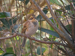 DSCN0344.jpg