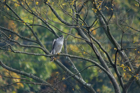 DSC02370.jpg