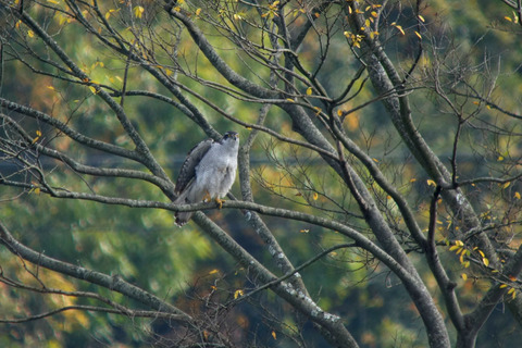 DSC02374.jpg