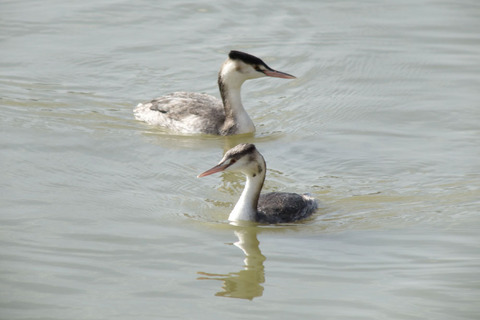 DSC03515.jpg