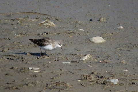 DSC03983.jpg