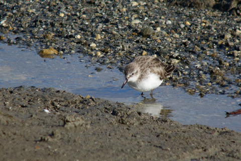 DSC04056.jpg