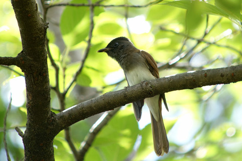 DSC04814.jpg