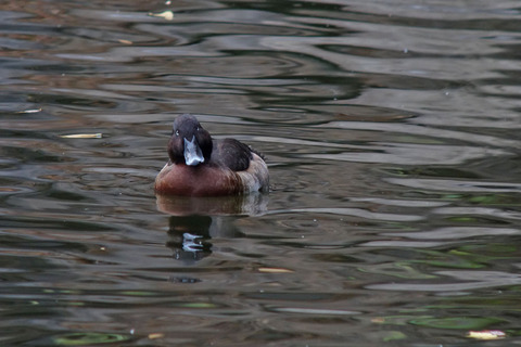 DSC05839.jpg
