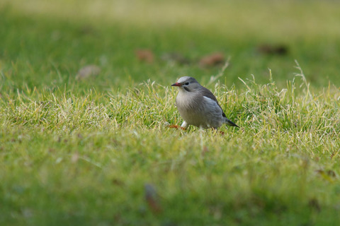 DSC05843.jpg