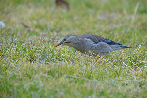 DSC05911.jpg