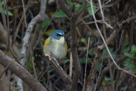DSC06088.jpg