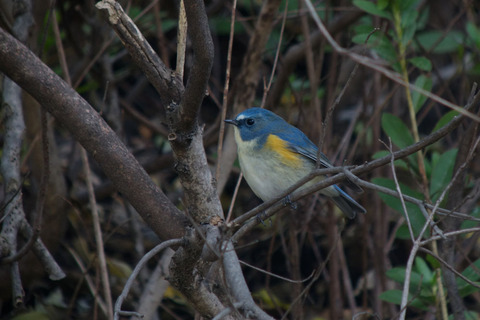 DSC06148.jpg