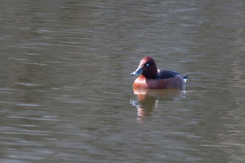 DSC06477.jpg