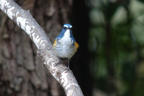 DSC07061.jpg