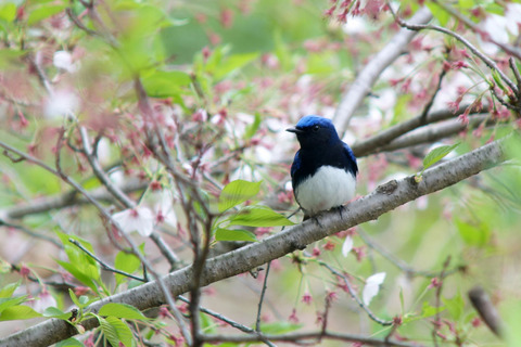 DSC08022.jpg