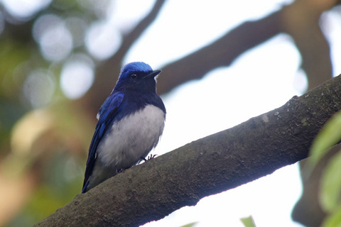 DSC08134.jpg
