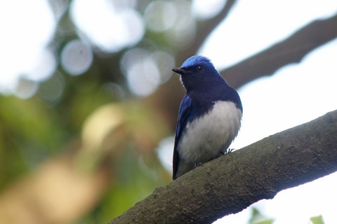 DSC08143.jpg