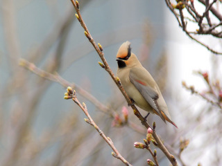 DSCN0313.jpg