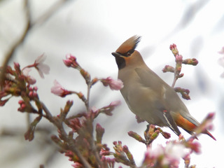 DSCN0455.jpg