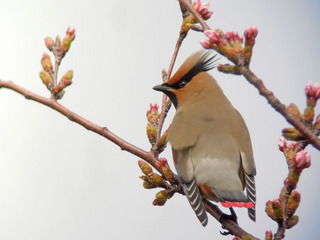 DSCN0549.jpg