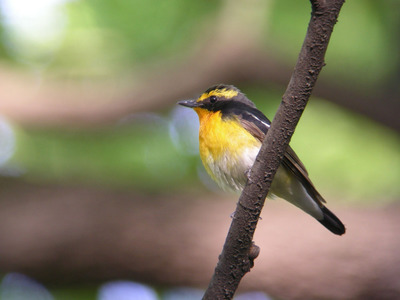DSCN0549.jpg