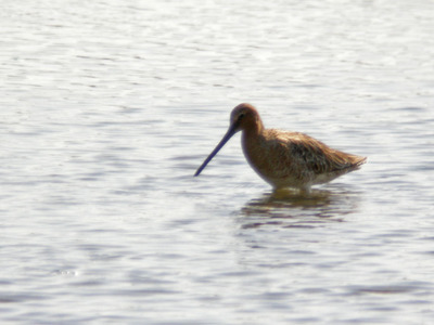 DSCN1030.jpg
