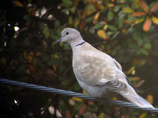 DSCN1169.jpg