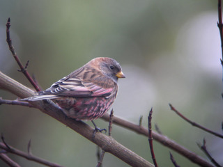 DSCN1215.jpg