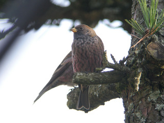 DSCN1295.jpg