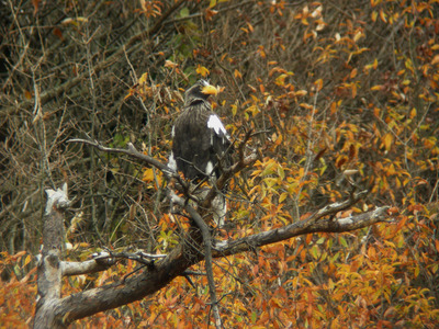 DSCN1454.jpg