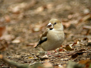 DSCN1499.jpg
