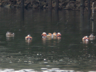 DSCN1538.jpg