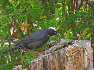 DSCN1589.jpg