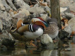 DSCN1672.jpg