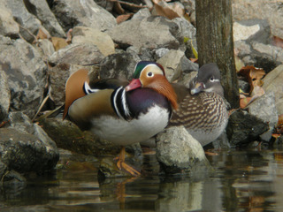 DSCN1673.jpg