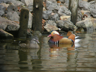 DSCN1750.jpg
