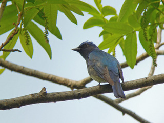DSCN1812.jpg