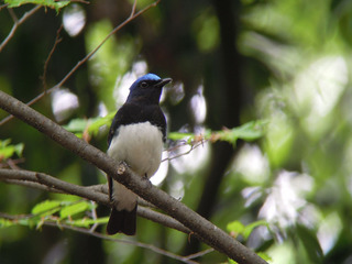 DSCN2001.jpg
