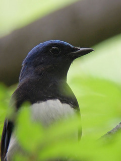 DSCN2006.jpg