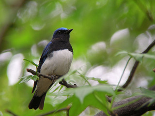 DSCN2061.jpg