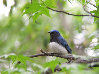DSCN2073.jpg