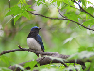 DSCN2087.jpg