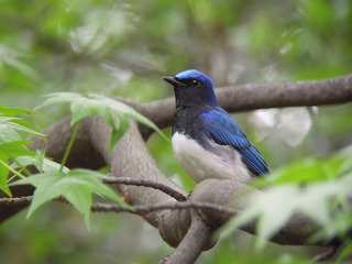 DSCN2091.jpg