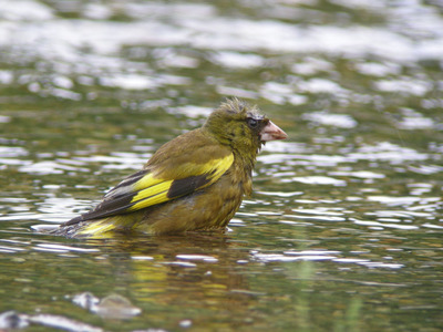 DSCN2599.jpg