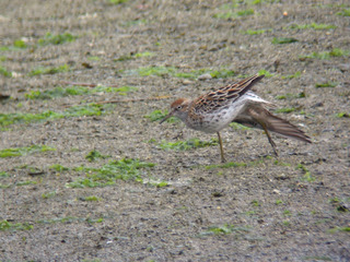 DSCN3077.jpg