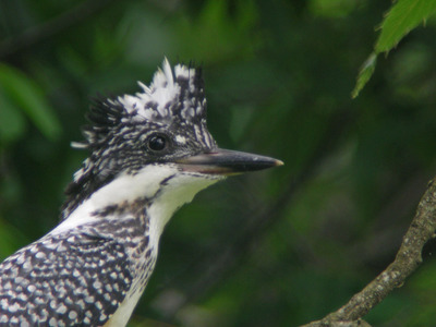 DSCN3275.jpg