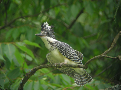 DSCN3295.jpg