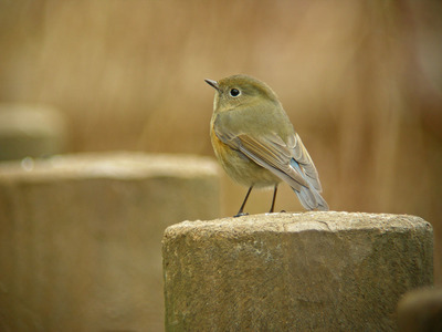 DSCN3442.jpg