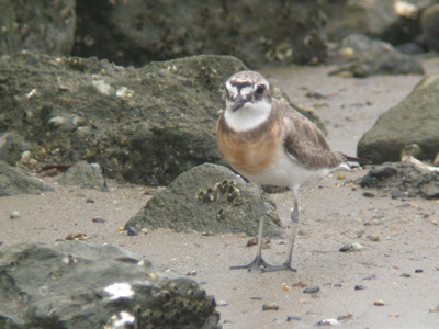 DSCN3638.jpg