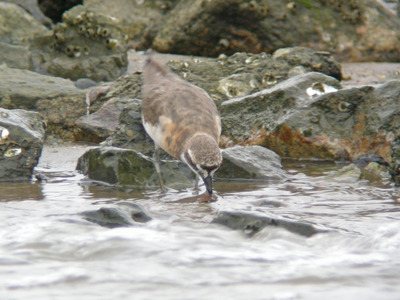 DSCN3713.jpg