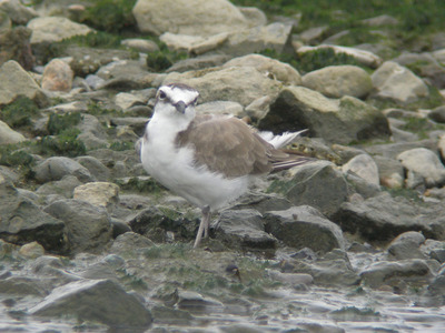 DSCN3735.jpg